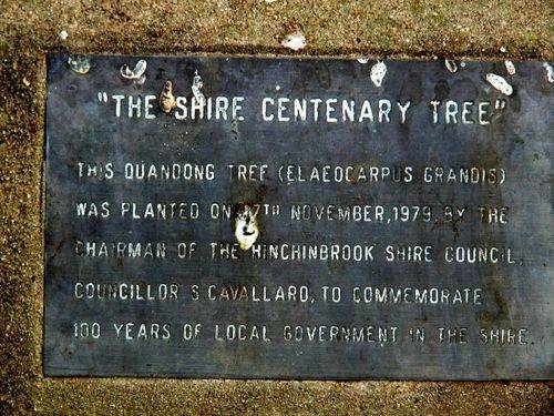 100 years of Local Government