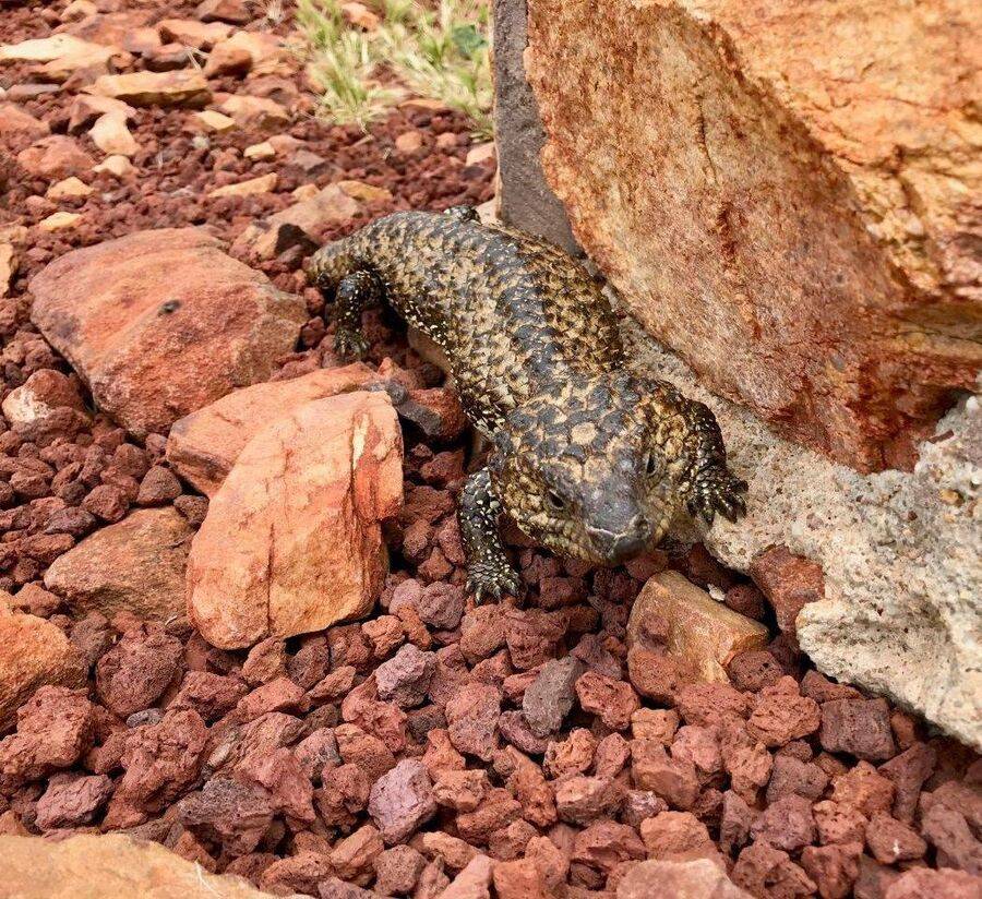 13-February-2021 13-February-2021