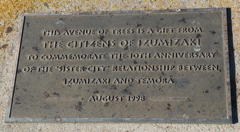 11-June-2023