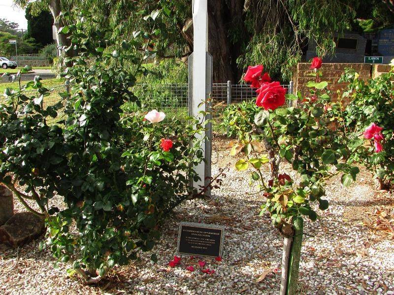 Memorial Gardens : 14-December-2014