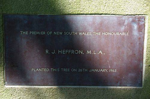 Premier Planting Plaque