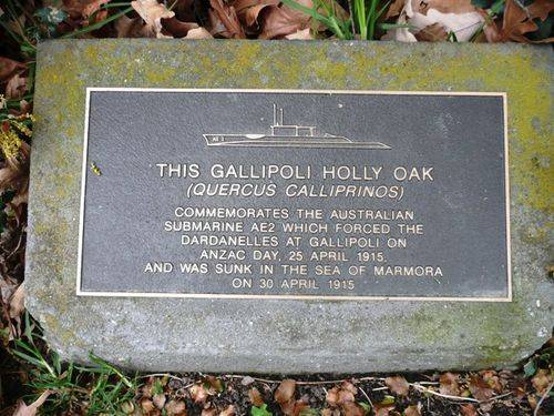 AE2 Submarine : 24-October-2011 AE2 Submarine : 24-October-2011