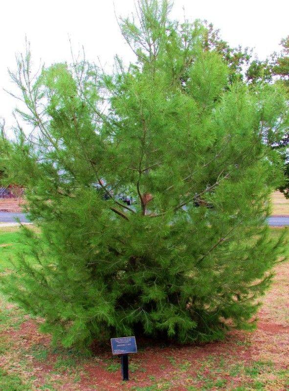 03-May-2019 03-May-2019