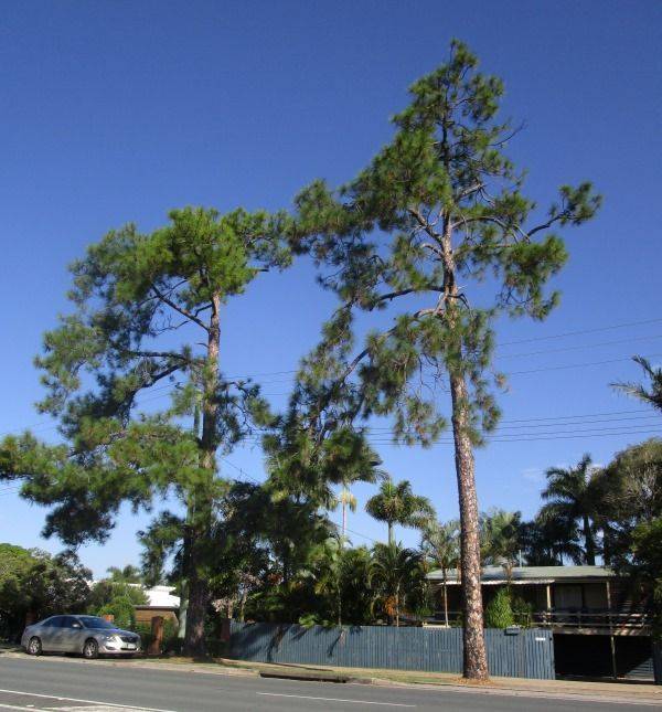 18-March-2015 18-March-2015