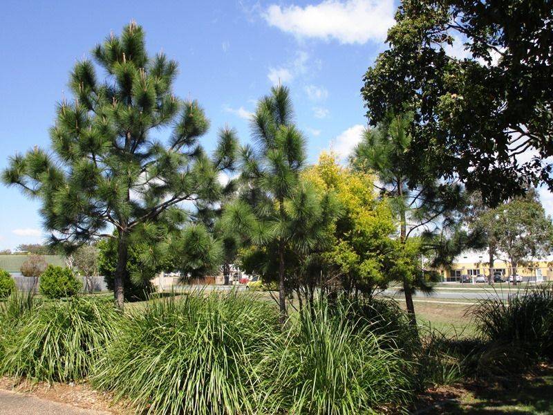 28-September-2015 28-September-2015