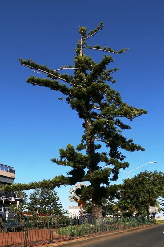 20-October-2018 20-October-2018