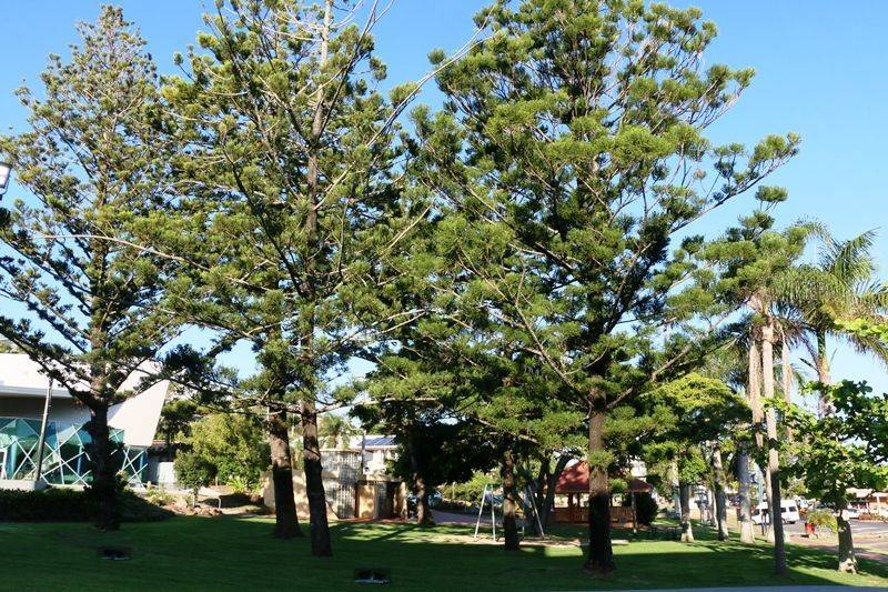 20-October-2018 20-October-2018