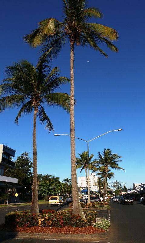 20-October-2018 20-October-2018