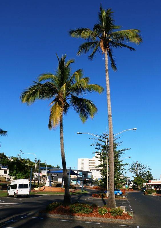 20-October-2018 20-October-2018