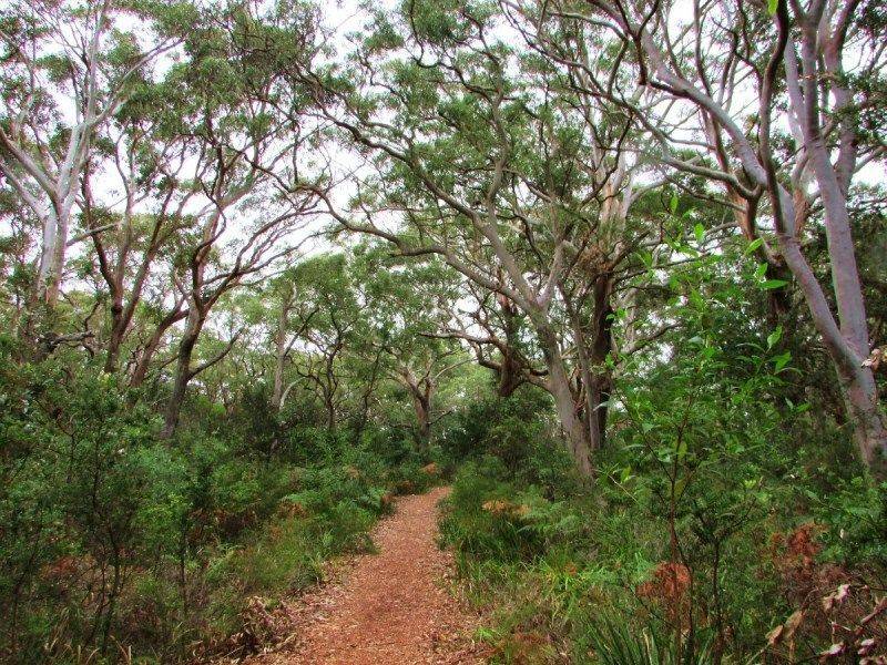 Park 2: 16-July-2016