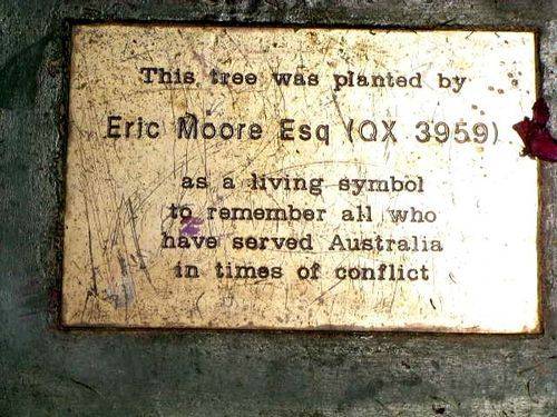 ANZAC Park Memorial Tree