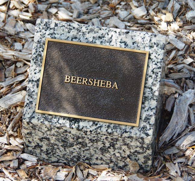 21-March-2017 21-March-2017