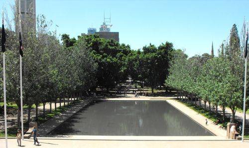 ANZAC Trees : 03-January-2013