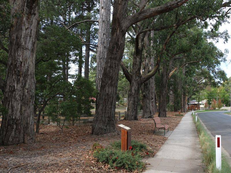 21-April-2019 (John Huth) 21-April-2019 (John Huth)