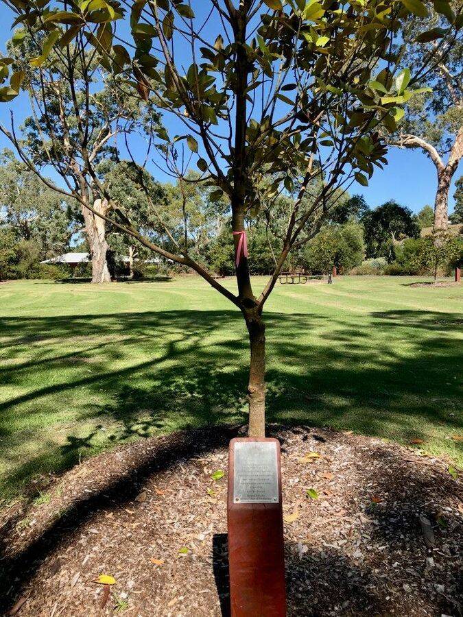 02-March-2021 02-March-2021