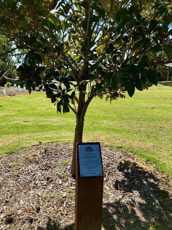 02-March-2021 02-March-2021