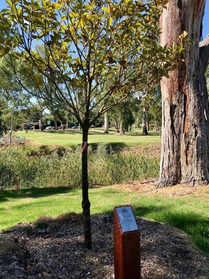 02-March-2021 02-March-2021