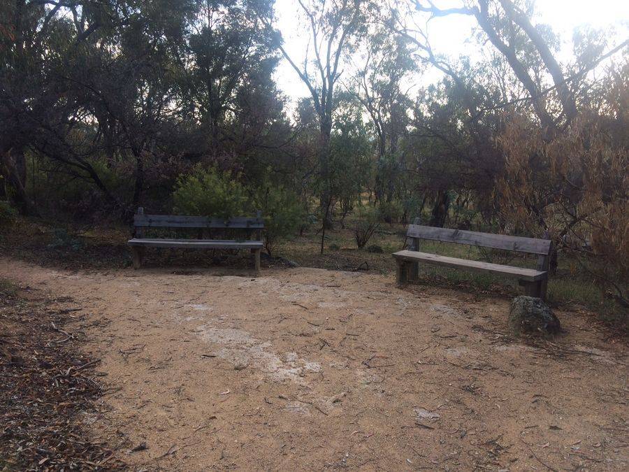 Trail 3 : 12-January-2016