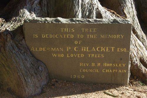 Blacket Tree Plaque : August-2014