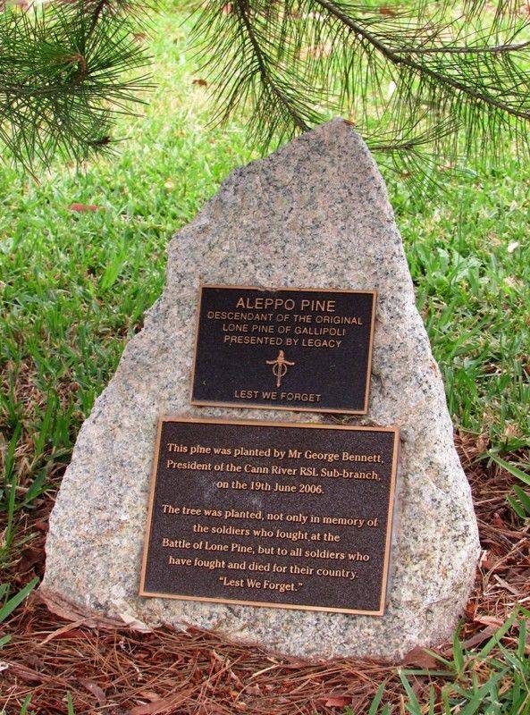 Plaques : 19-December-2014