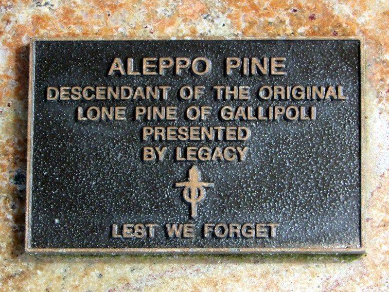 Plaque: 13-August-2016 Plaque: 13-August-2016