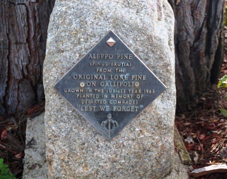 24-November-2016 24-November-2016