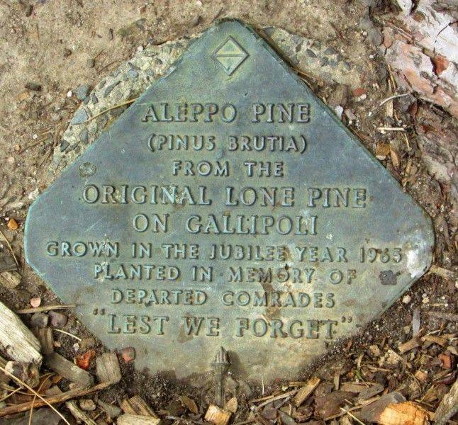 29-December-2016 29-December-2016