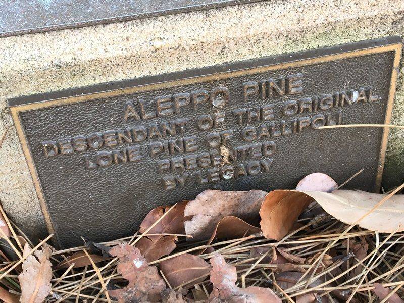 28-February-2019 28-February-2019