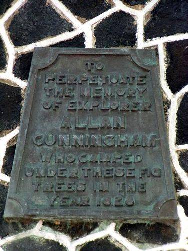Allan Cunningham
