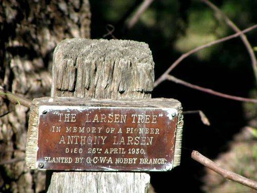Anthony Larsen Anthony Larsen