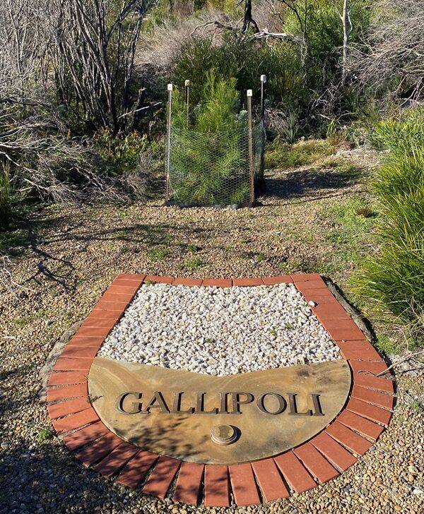 World War I : 08-June-2022 (Fiona Morrison)