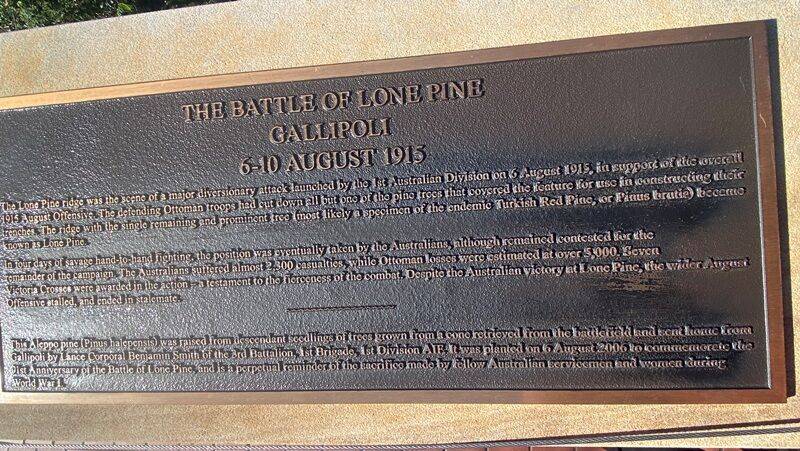 World War I : 08-June-2022 (Fiona Morrison) World War I : 08-June-2022 (Fiona Morrison)