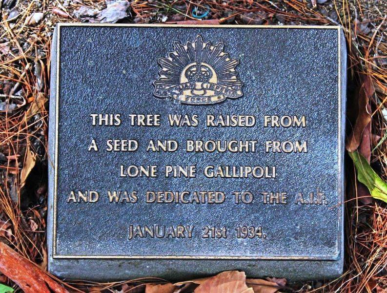 29-November-2015 29-November-2015