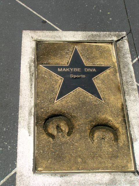 Maykybe Diva: 2013 Maykybe Diva: 2013