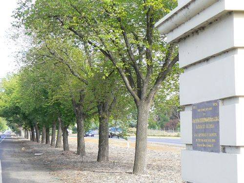 Avenue of Honour : 02-January-2013 Avenue of Honour : 02-January-2013