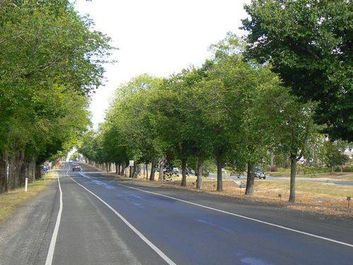 Avenue of Honour : 02-January-2013 Avenue of Honour : 02-January-2013