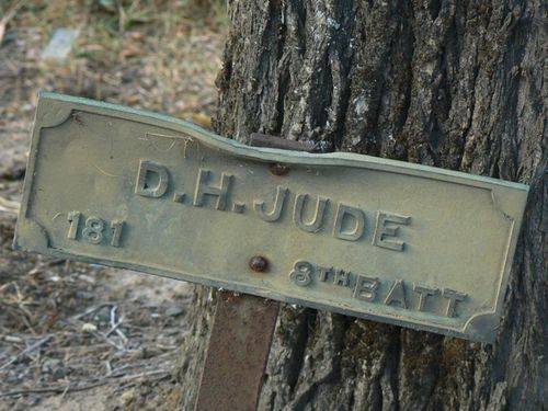 Avenue of Honour : 02-January-2013 Avenue of Honour : 02-January-2013