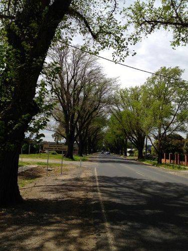 Avenue of Honour 2 : October 2013 Avenue of Honour 2 : October 2013