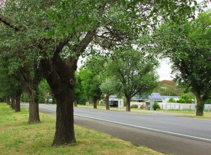 Avenue of Honour 2 : 06-December-2014 Avenue of Honour 2 : 06-December-2014