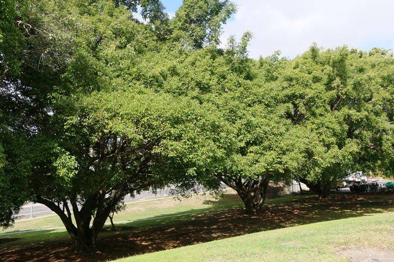 08-September-2014 08-September-2014