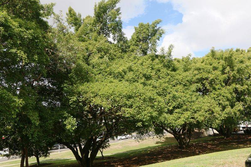 08-September-2014 08-September-2014