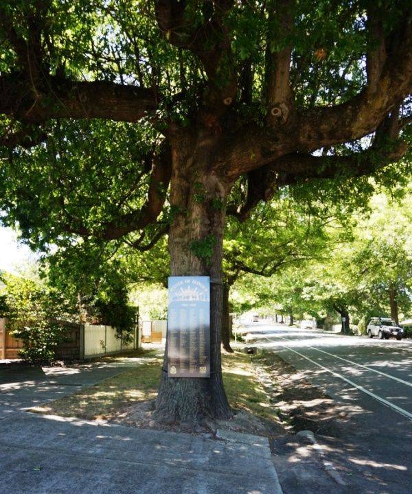 04-December-2015 04-December-2015