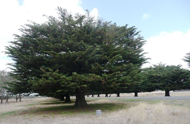 12-February-2016 12-February-2016