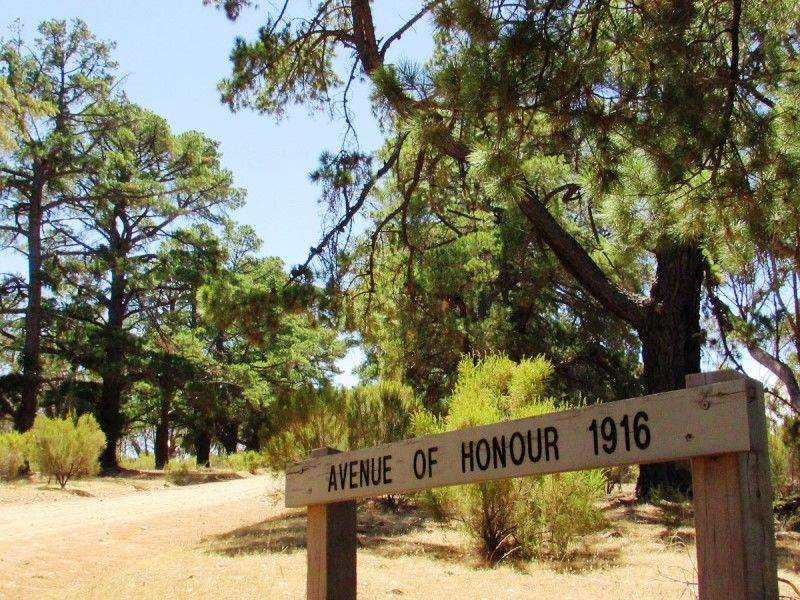 28-January-2019 (Sandra Brown)