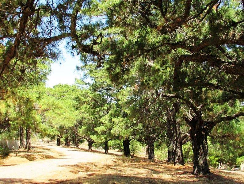 28-January-2019 (Sandra Brown) 28-January-2019 (Sandra Brown)