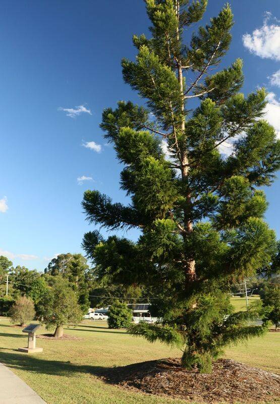 25-April-2021 25-April-2021