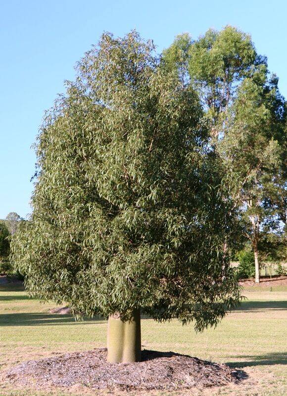 25-April-2021 25-April-2021