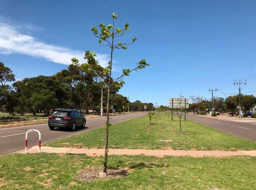 24-January-2021 24-January-2021