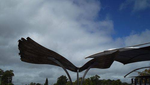 Wings Closeup : 05-07-2013