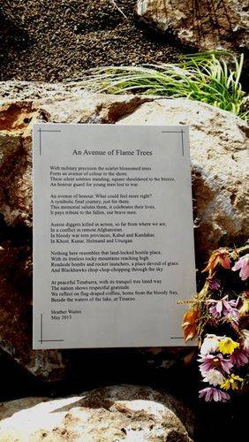 Flame Tree Plaque : 05-07-2013